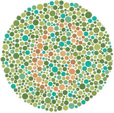Ishihara Color Blindness Test The Ishihara Color Blindness Test