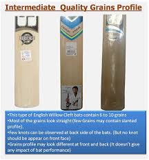 Complete Guide On Cricket Bat Grains Concepts Khelmart Org