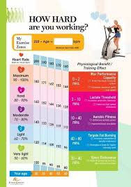 Heart Rate Chart For Healthy Exercise Training Excercise