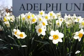 Garden City Campus Adelphi University