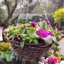 Brown Rattan Hanging Basket Pack Of