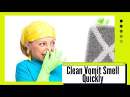 how to clean vomit smell from carpet