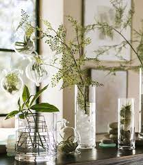 Display Ideas Glass Vase Decor