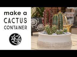 How To Make A Cactus Container