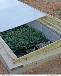 4 ways to use a cold frame finegardening