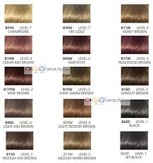 56 Expert Clairol Advanced Gray Solution Color Chart