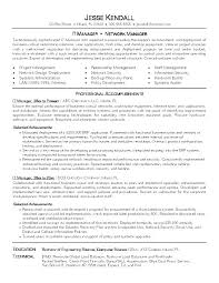 Sales Director Resume Objective Examples Sample Of It Fine Design