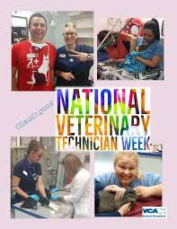While working closely with other pet health care professionals at… Vca Veterinary Care Animal Hospital And Referral Center Your Pet Deserve The Best In Pet Care And It Takes Everyone On The Veterinary Health Care Team To Make That Happen The