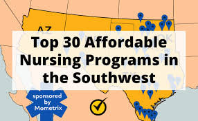 top 30 affordable nursing programs in