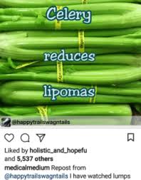 tumors with these dog lipoma foods