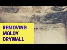 remove moldy drywall get rid of mold