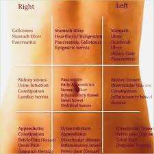 Know Your Stomach Pain Chart Www Bedowntowndaytona Com