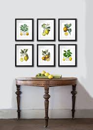 Lemon Decor Citrus Prints Set Of 6