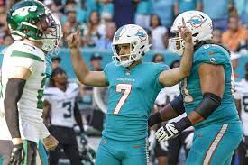 dolphins clinch playoff berth after