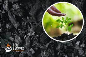 Why charcoal ashes are good for plants. How To Use Bbq Ash For Plants And Projects Bbqanswers