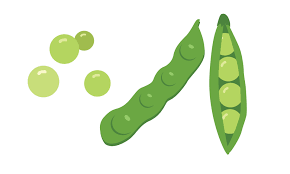 green pea clipart vector ilration