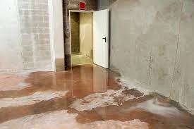 What You Can Do About Basement Flooding