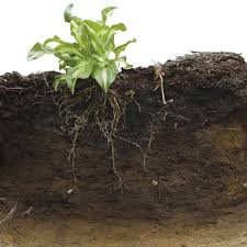 Put The Life Back Into Your Soil