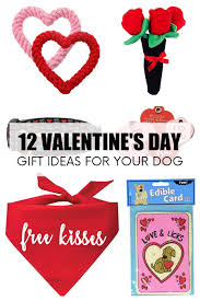 day gift ideas for your dog