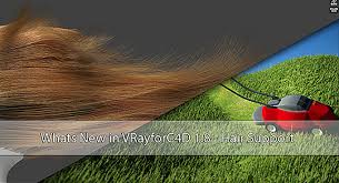 cinema 4d using advanced hair and fur