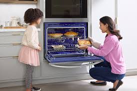 Electric Convection Double Wall Oven