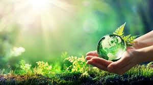49th world environment day 2022 date