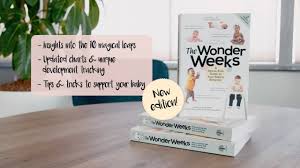 1 Bestseller Baby Development Book The Wonder Weeks