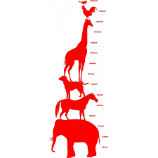 Animal Height Chart