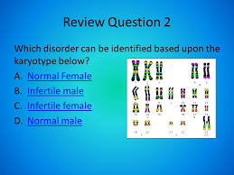 Learn vocabulary, terms and more with flashcards, games and other study tools. Objective Identify And Differentiate Between Karyotypes Iot Diagnose Chromosomal Disorders Drill 1 Horses Have 64 Chromosomes In Each Body Cell If Ppt Download