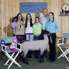 sickels club lambs goats winners