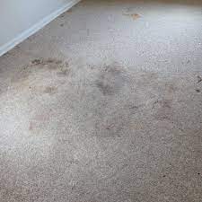 carpet repair in gaithersburg md