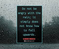 I left my window open today and it started raining and now my whole room smells like rain and wet grass tut. 22 Rain Quotes To Shower You With Inspiration Sayingimages Com