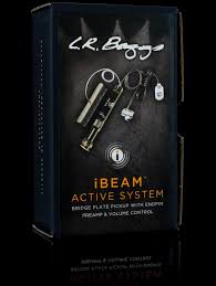l r baggs ibas ibeam active system