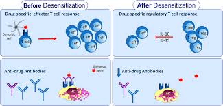 I am agree of the campaign of. Frontiers Mechanisms Of Drug Desensitization Not Only Mast Cells Pharmacology