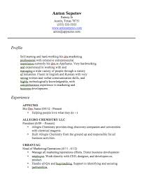 Excellent Stay At Home Mom Description For Resume    With Additional Resume  Template Microsoft Word With