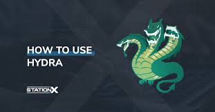 how to use hydra to pwords