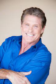Please help improve this article by adding citations to reliable sources.unsourced material may be challenged and removed. David Hasselhoff Wikipedia