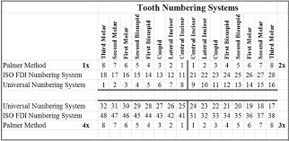 American Dental Association Tooth Numbering Chart Www