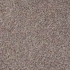 sns10 00701 townhouse carpet shaw