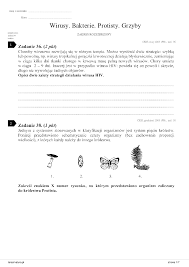 Wirusy. Bakterie. Protisty. Grzyby - Pobierz pdf z Docer.pl