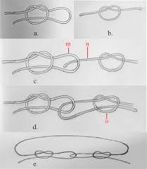 For a visual aide, you could do a google image search for lynching postcard. Introduction To Tension Loop Internal Fixation Of Simple Fractures And Faisal S Double Noose Loops Sciencedirect