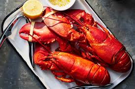 gulf of maine threatens to take lobster