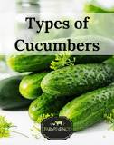What cucumbers have the most flavor?