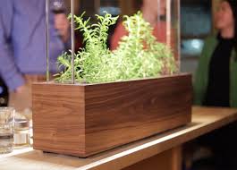 herb garden smart indoor gardening