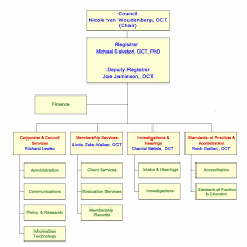 The Body Shop Organization Chart Term Paper Example