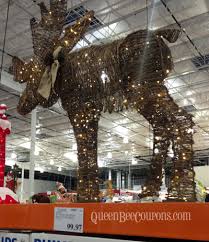 Check spelling or type a new query. Costco Christmas Trees Christmas Decorations Christmas Lights 2013