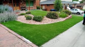 Artificial Turf Front Yard Ideas