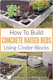 Raised Garden Bed With Concrete Blocks