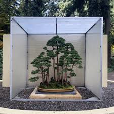 pacific bonsai museum