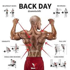 Back Day Credit Samslackfit Follow Fitness_importance